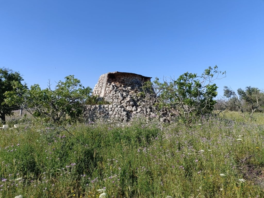 Giano Group Immobiliare